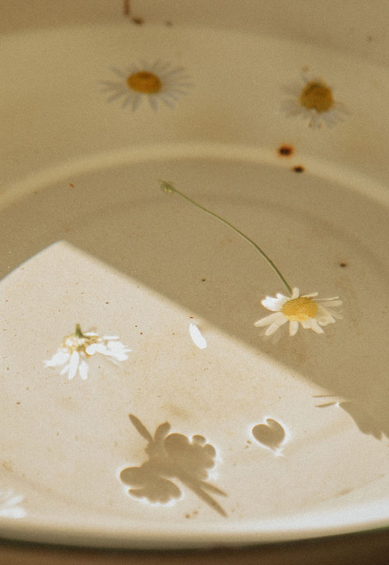 Sauna Scents & Essential Oils